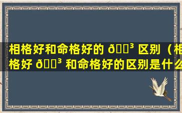 相格好和命格好的 🌳 区别（相格好 🐳 和命格好的区别是什么）